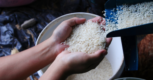 Why Are Beers Made with Rice and Which Brands Use It?