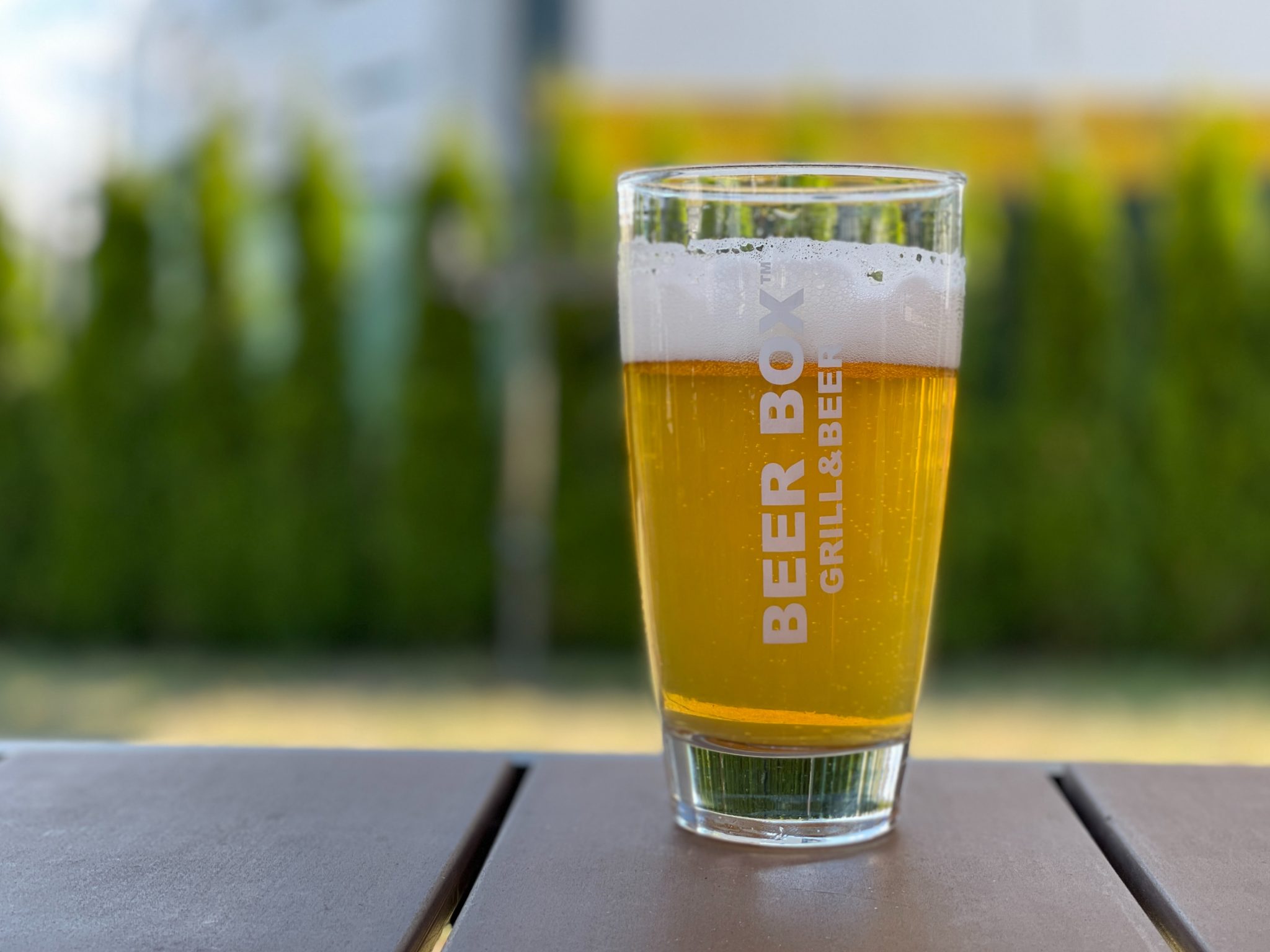 IPA vs Lager Popular Beer Styles Explained